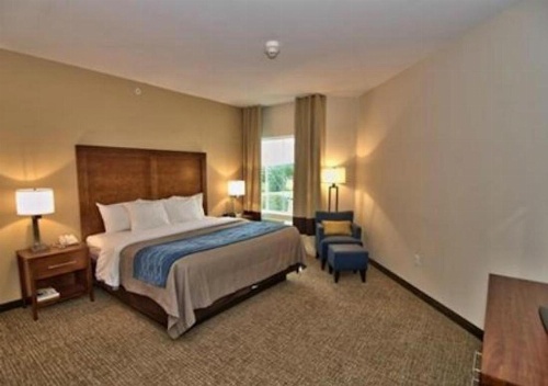 Comfort Inn Apalachin / Binghamton W Route 17 image 19
