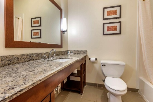 Comfort Inn Apalachin / Binghamton W Route 17 image 26