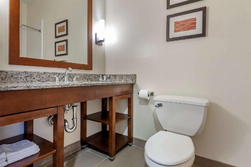 Comfort Inn Apalachin / Binghamton W Route 17 image 33
