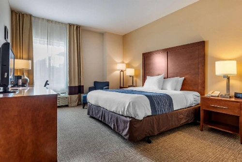 Comfort Inn Apalachin / Binghamton W Route 17 image 48