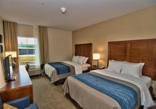Comfort Inn Apalachin / Binghamton W Route 17 image 6
