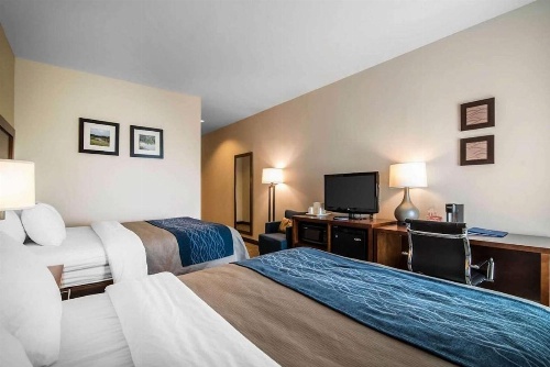 Comfort Inn Apalachin / Binghamton W Route 17 image 8